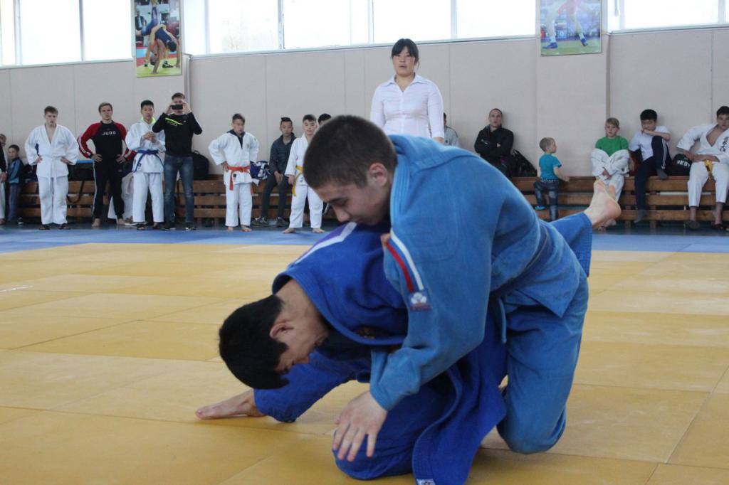 Кубок мэра по дзюдо