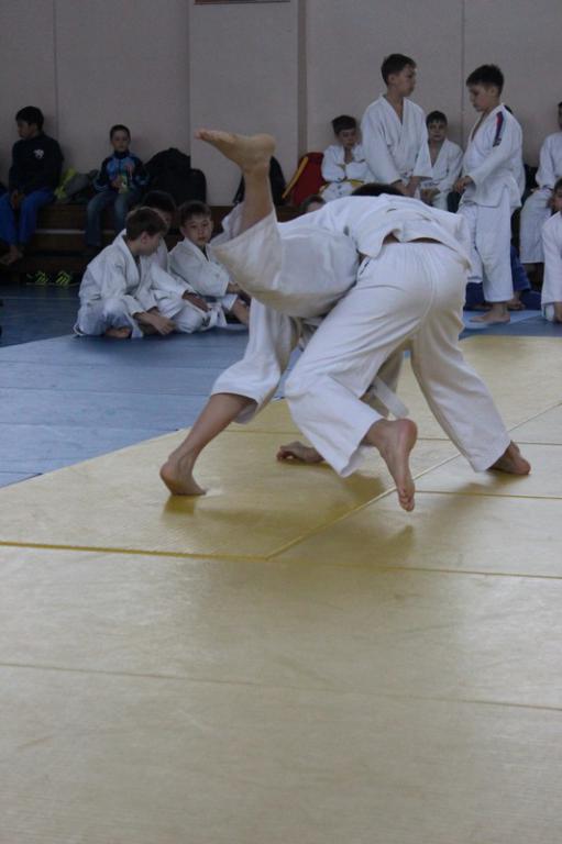 Кубок мэра по дзюдо