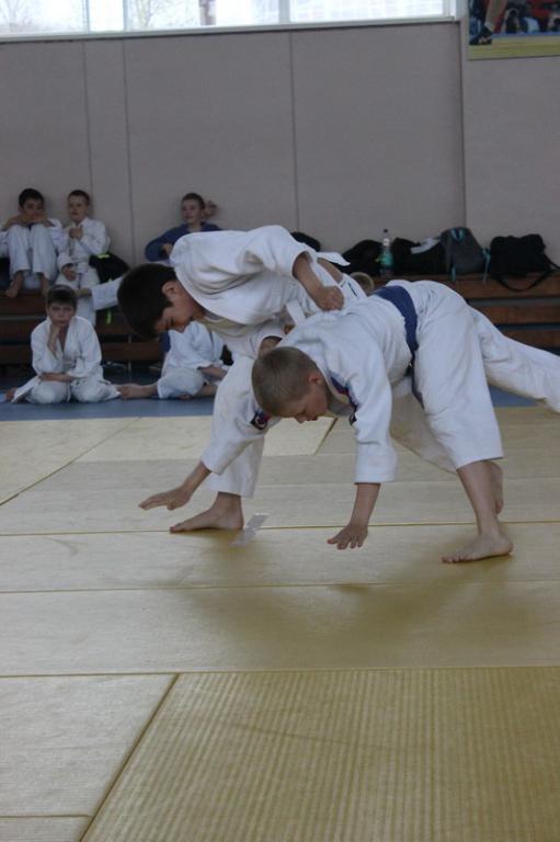 Кубок мэра по дзюдо