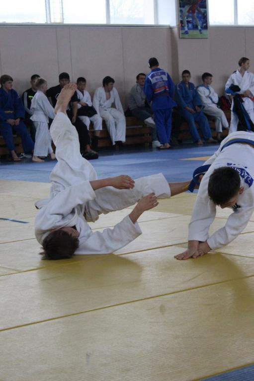 Кубок мэра по дзюдо