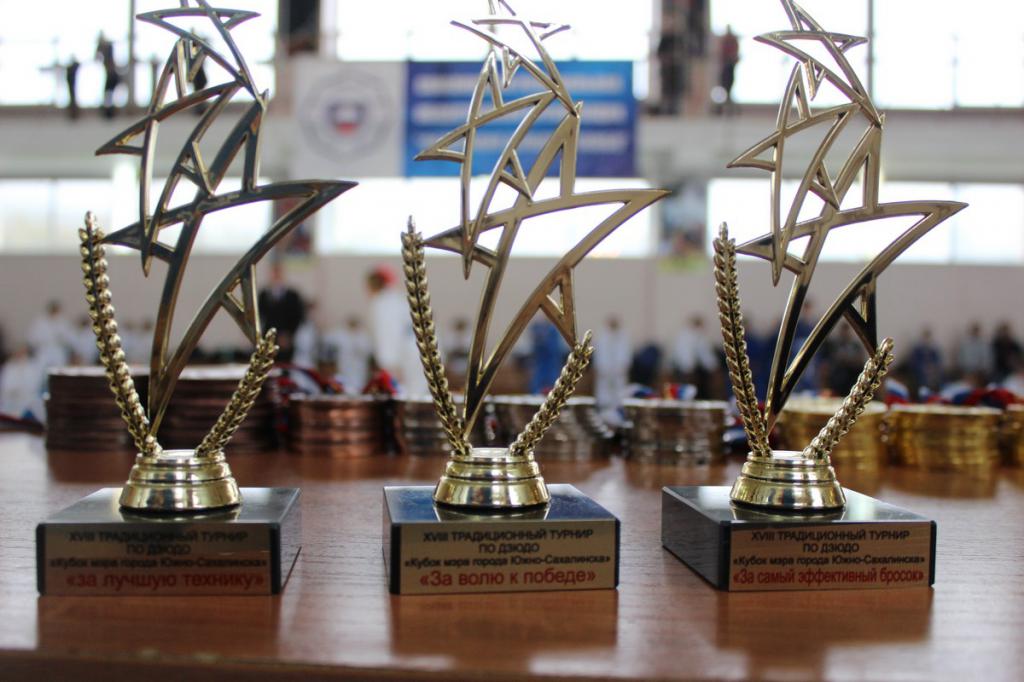 Кубок мэра по дзюдо