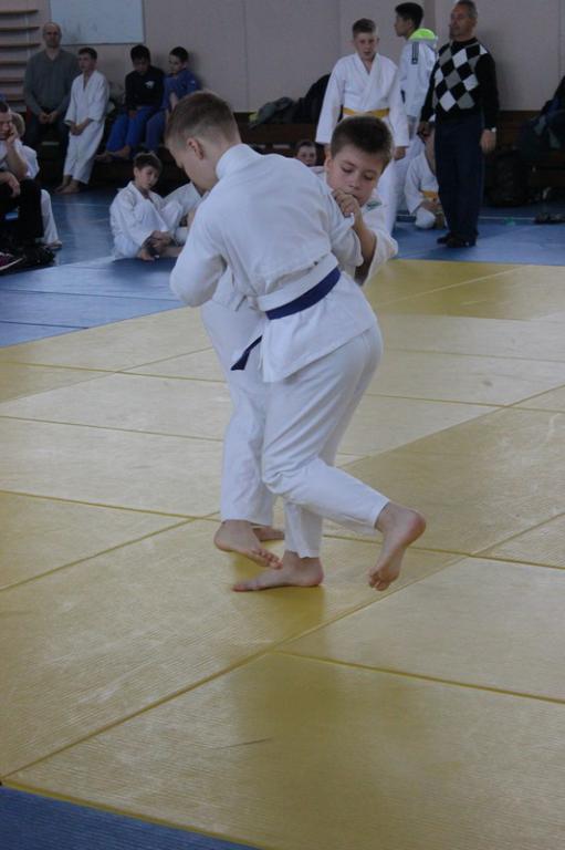 Кубок мэра по дзюдо