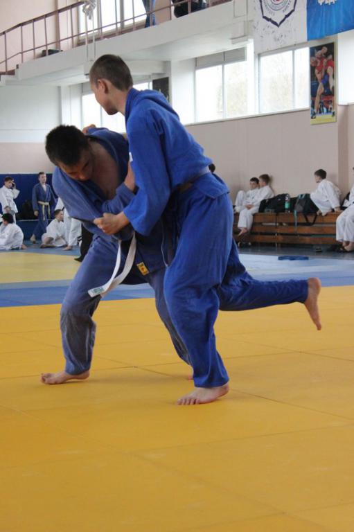 Кубок мэра по дзюдо