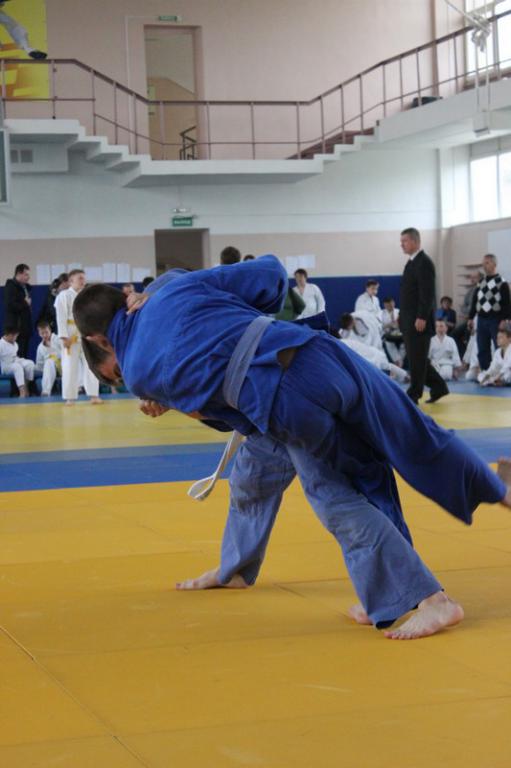 Кубок мэра по дзюдо