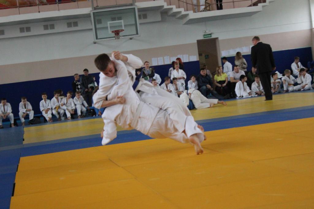 Кубок мэра по дзюдо
