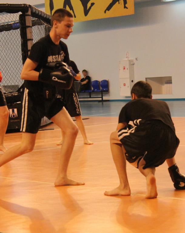 Фестиваль боевых искусств