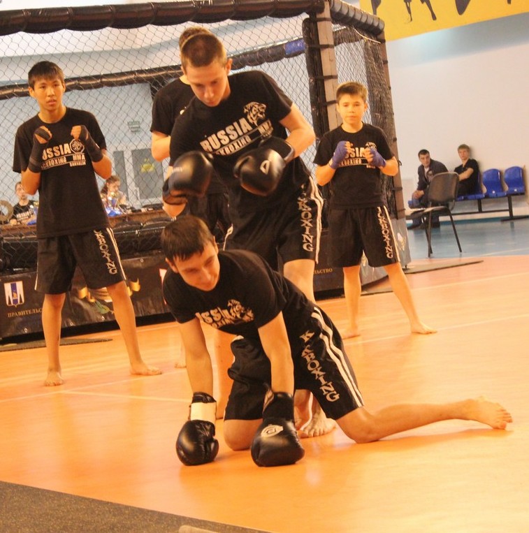 Фестиваль боевых искусств