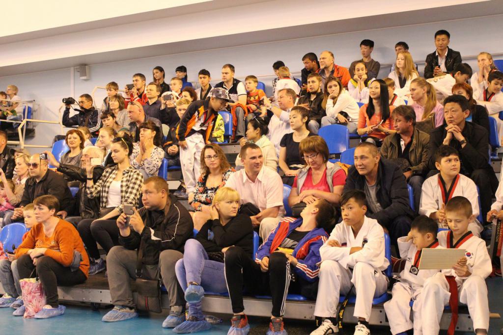 Фестиваль боевых искусств