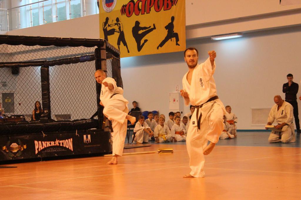 Фестиваль боевых искусств