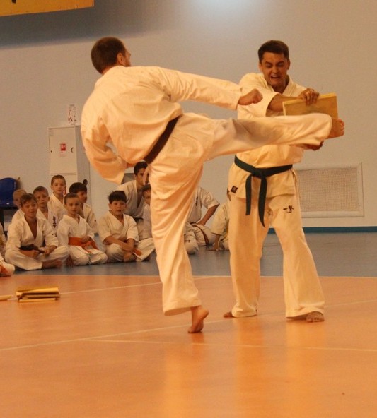 Фестиваль боевых искусств