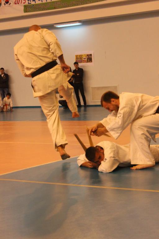 Фестиваль боевых искусств