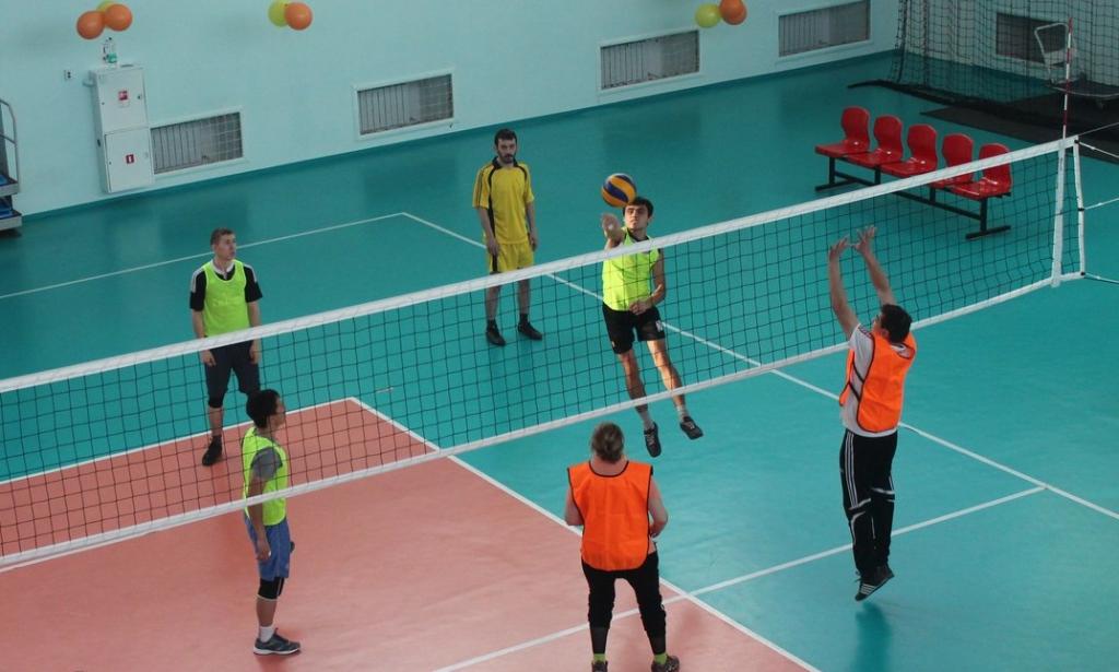 Первенство области по волейболу среди слабослышащих спортсменов