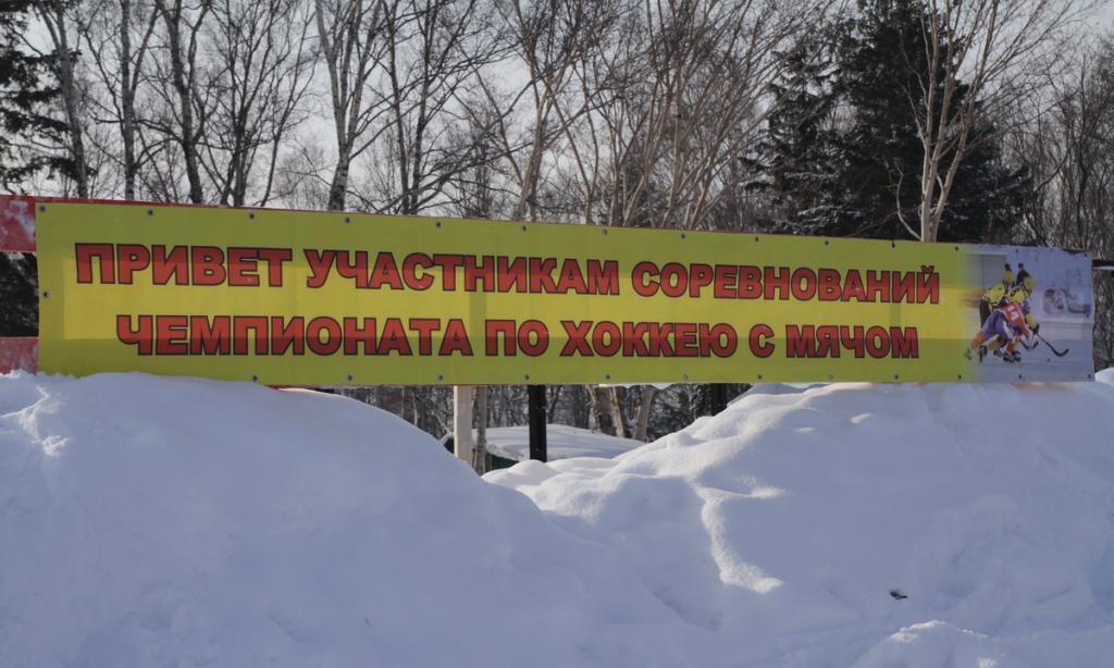 Чемпионат области по хоккею с мячом