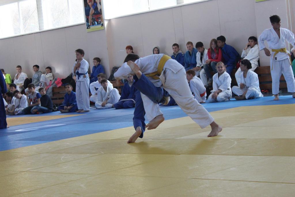 Кубок мэра по дзюдо
