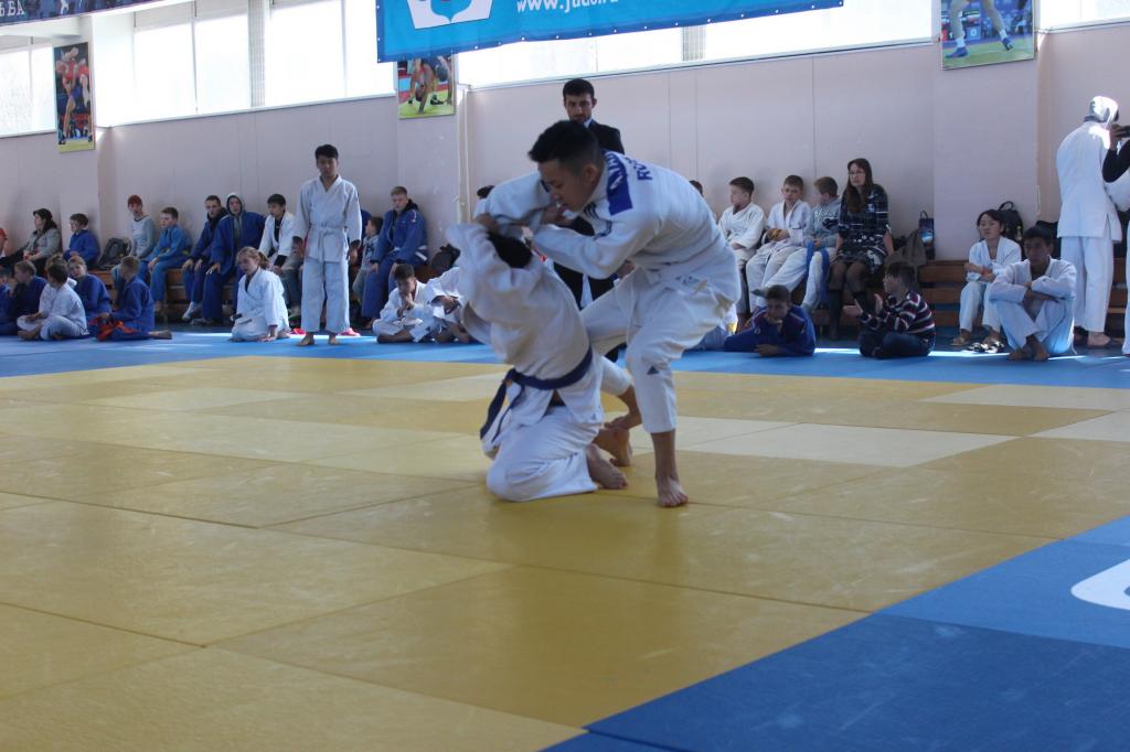 Кубок мэра по дзюдо