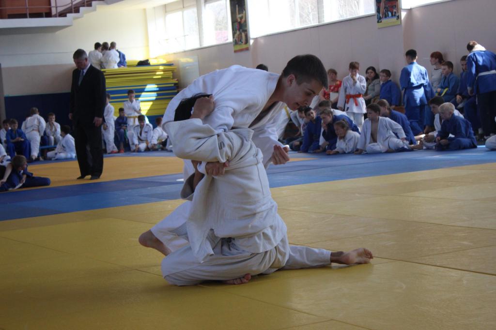 Кубок мэра по дзюдо