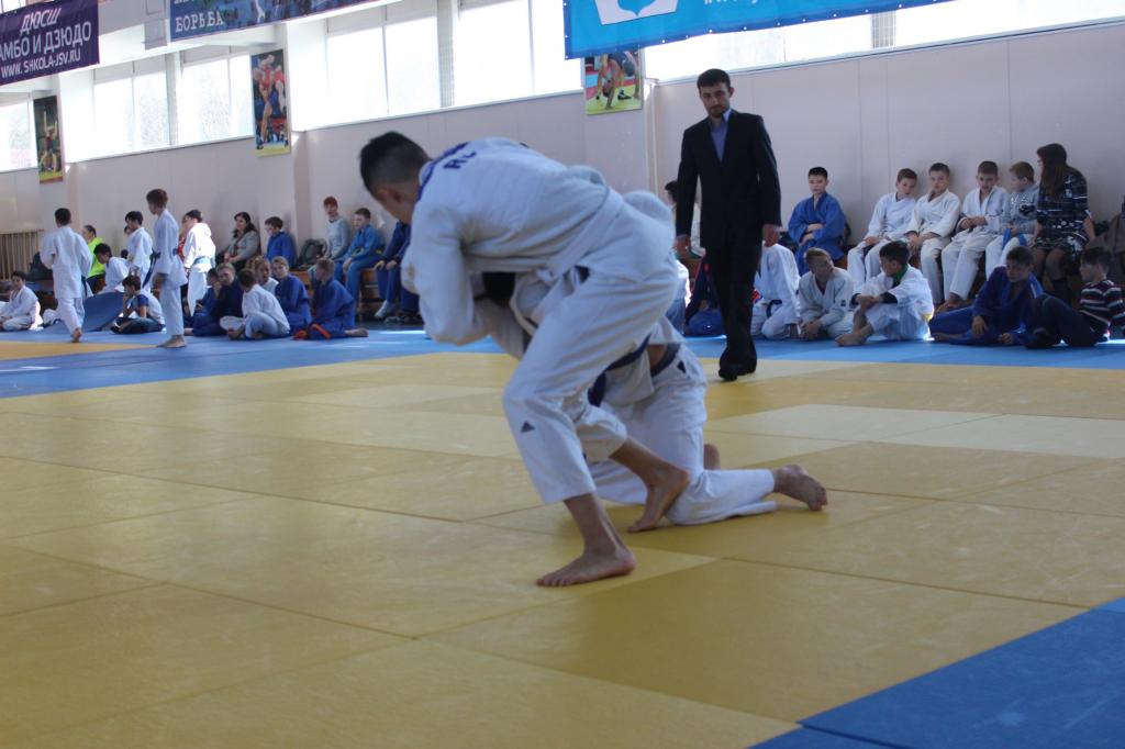 Кубок мэра по дзюдо