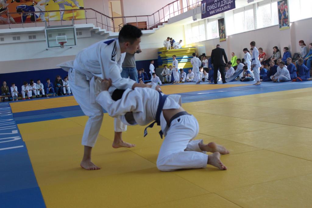 Кубок мэра по дзюдо
