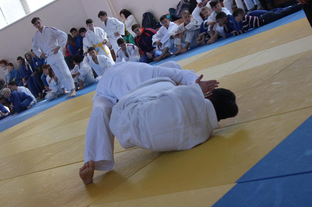 Кубок мэра по дзюдо