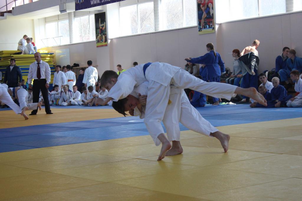 Кубок мэра по дзюдо
