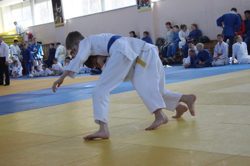 Кубок мэра по дзюдо