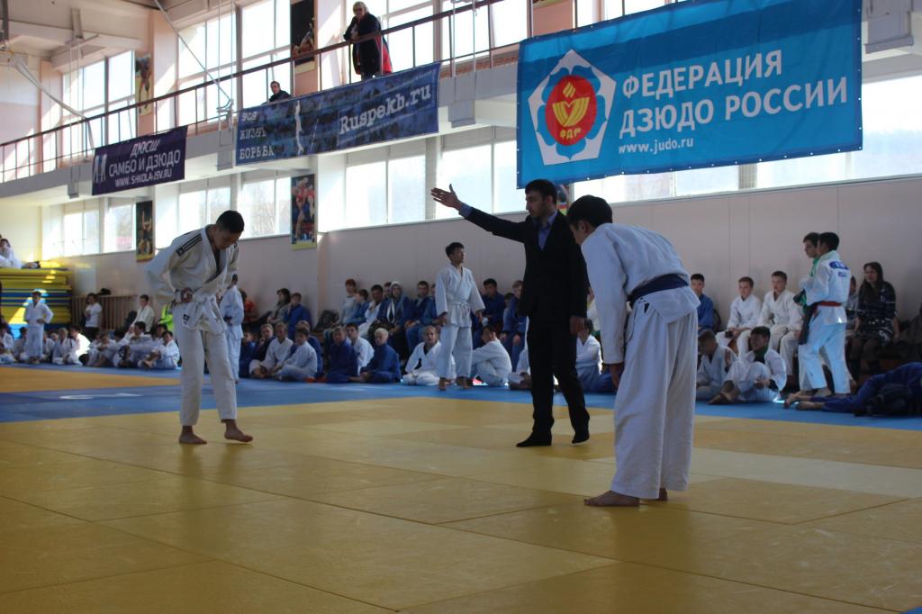 Кубок мэра по дзюдо