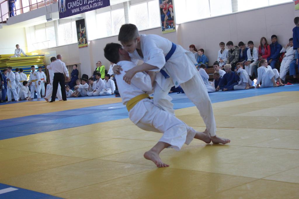 Кубок мэра по дзюдо