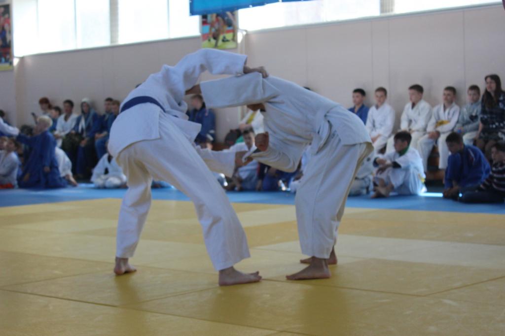 Кубок мэра по дзюдо