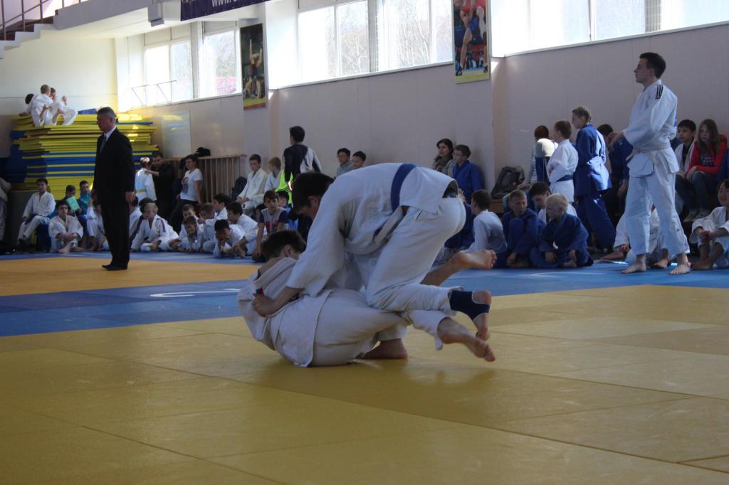 Кубок мэра по дзюдо