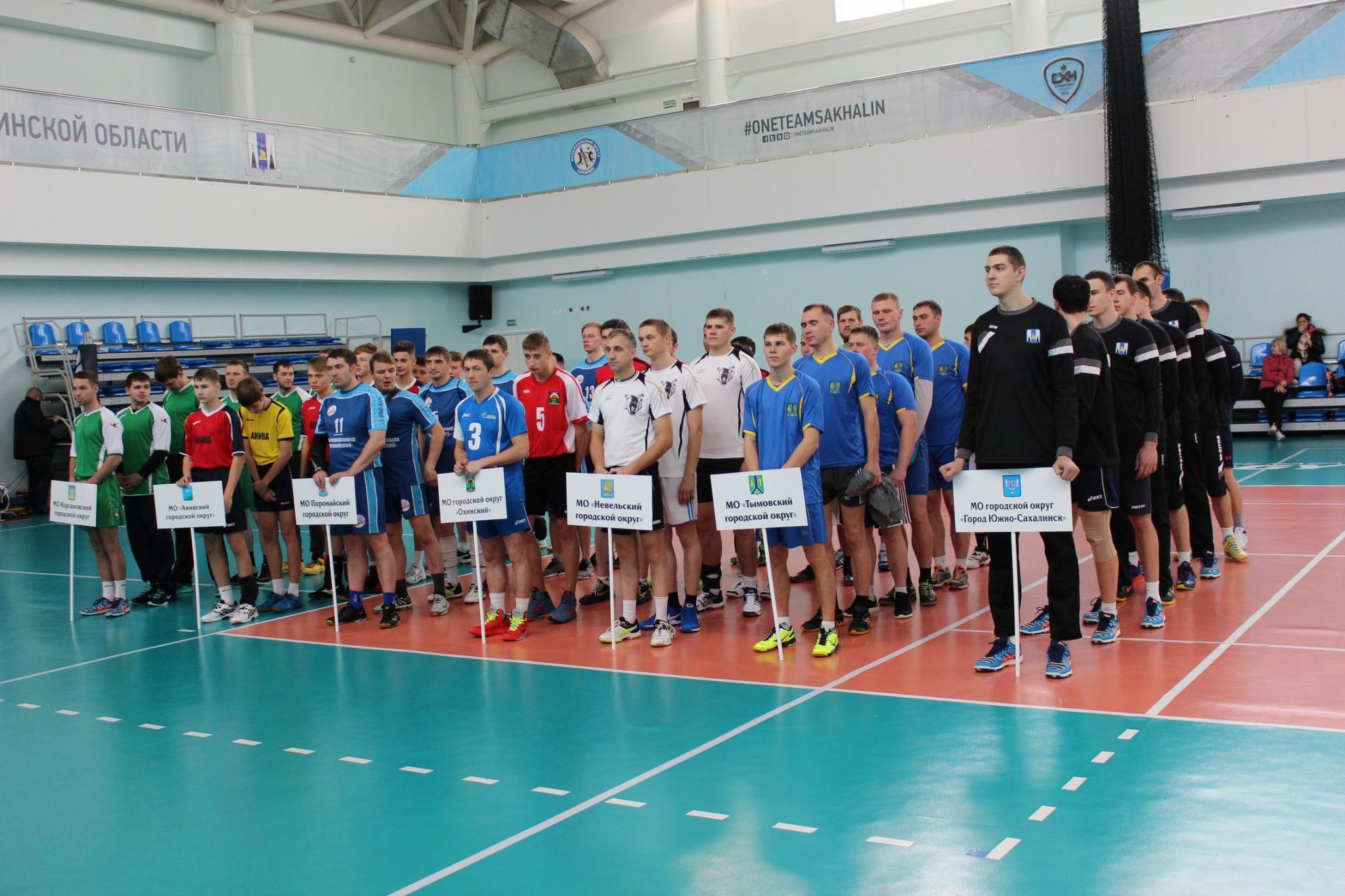 Чемпионат области 2016 года по волейболу среди мужских команд