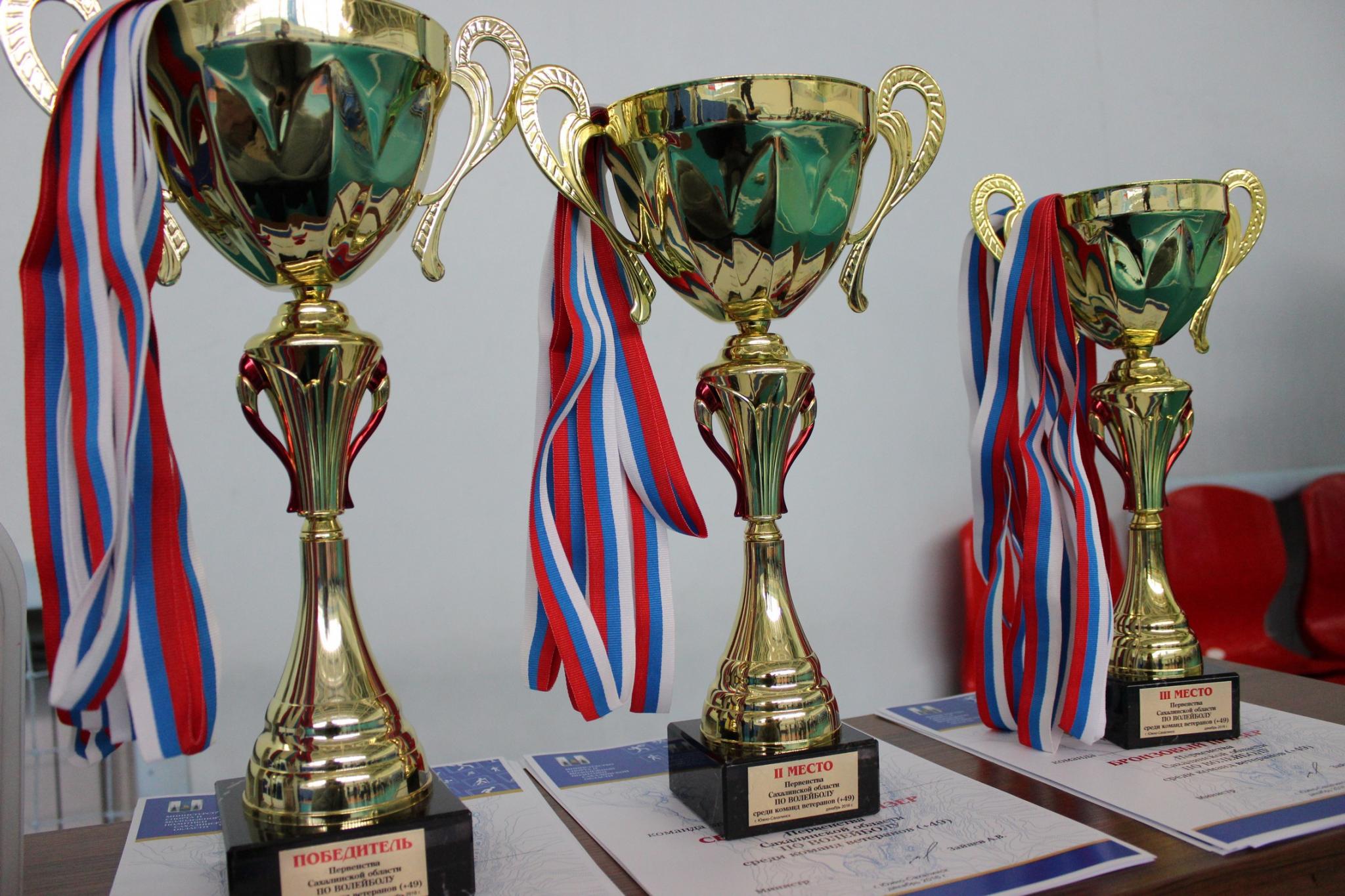 Первенство области по волейболу среди ветеранов
