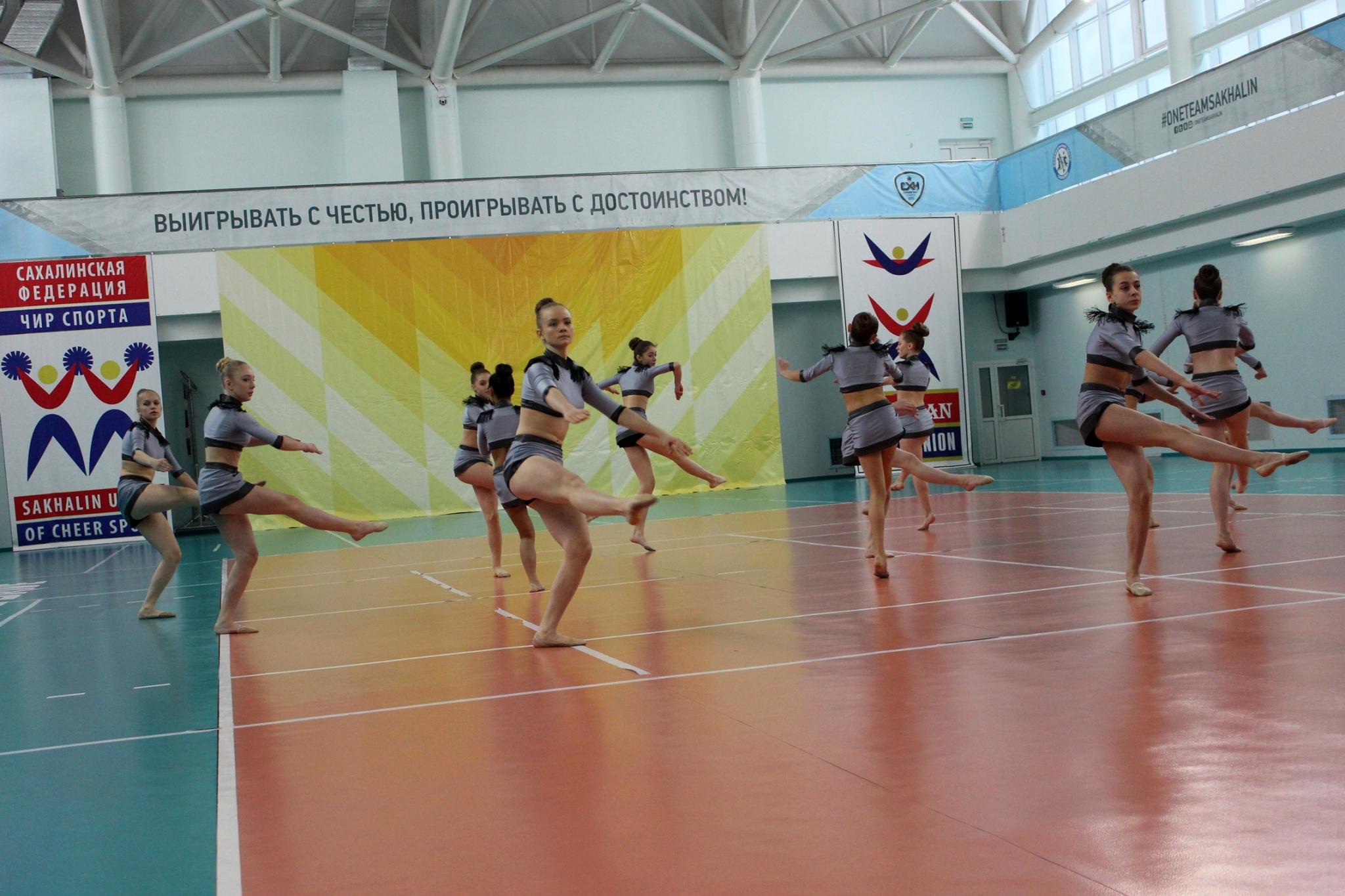 Чемпионат и первенство области по черлидингу