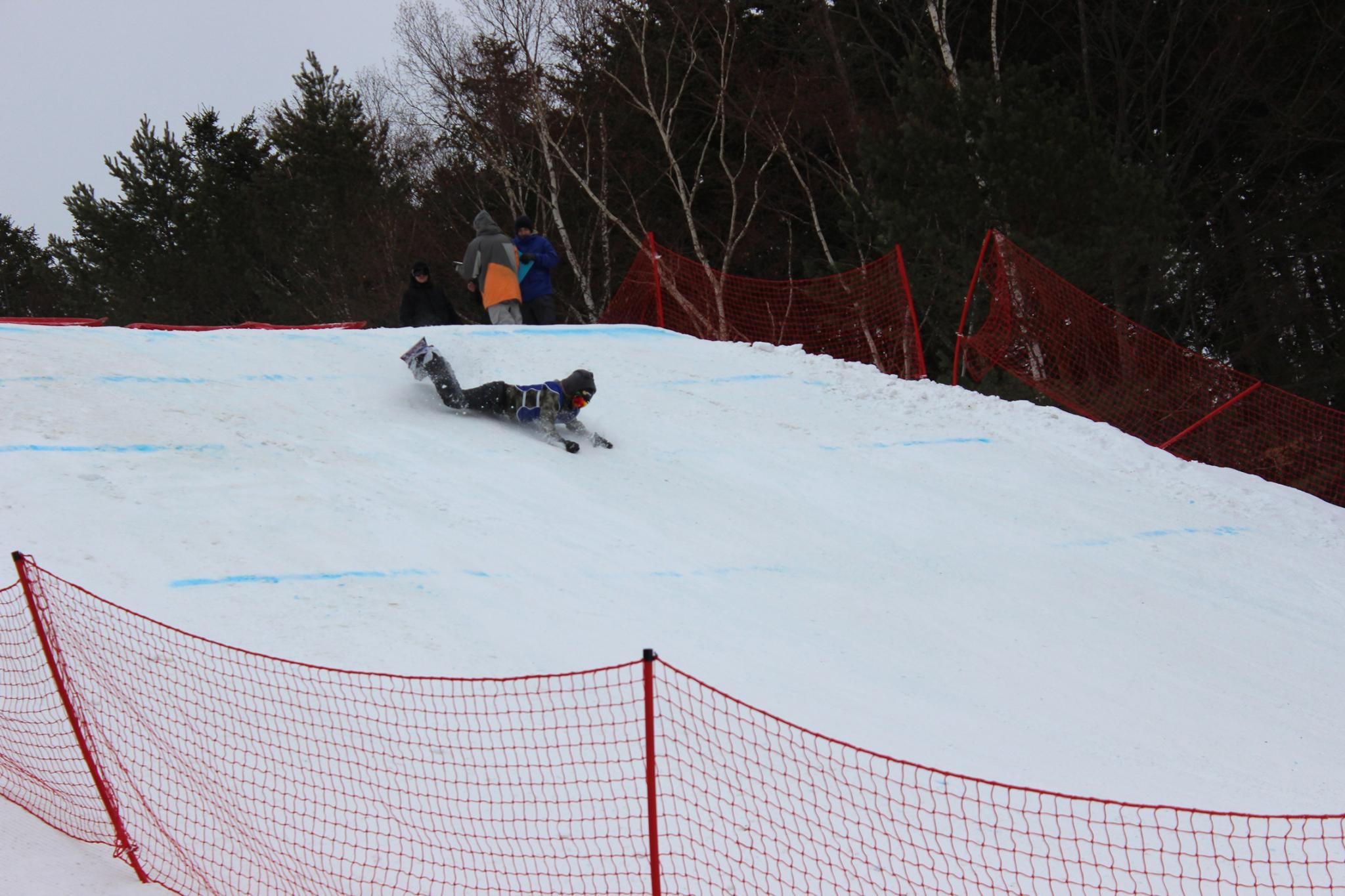 Этап Кубка России по сноуборду (биг-эйр)