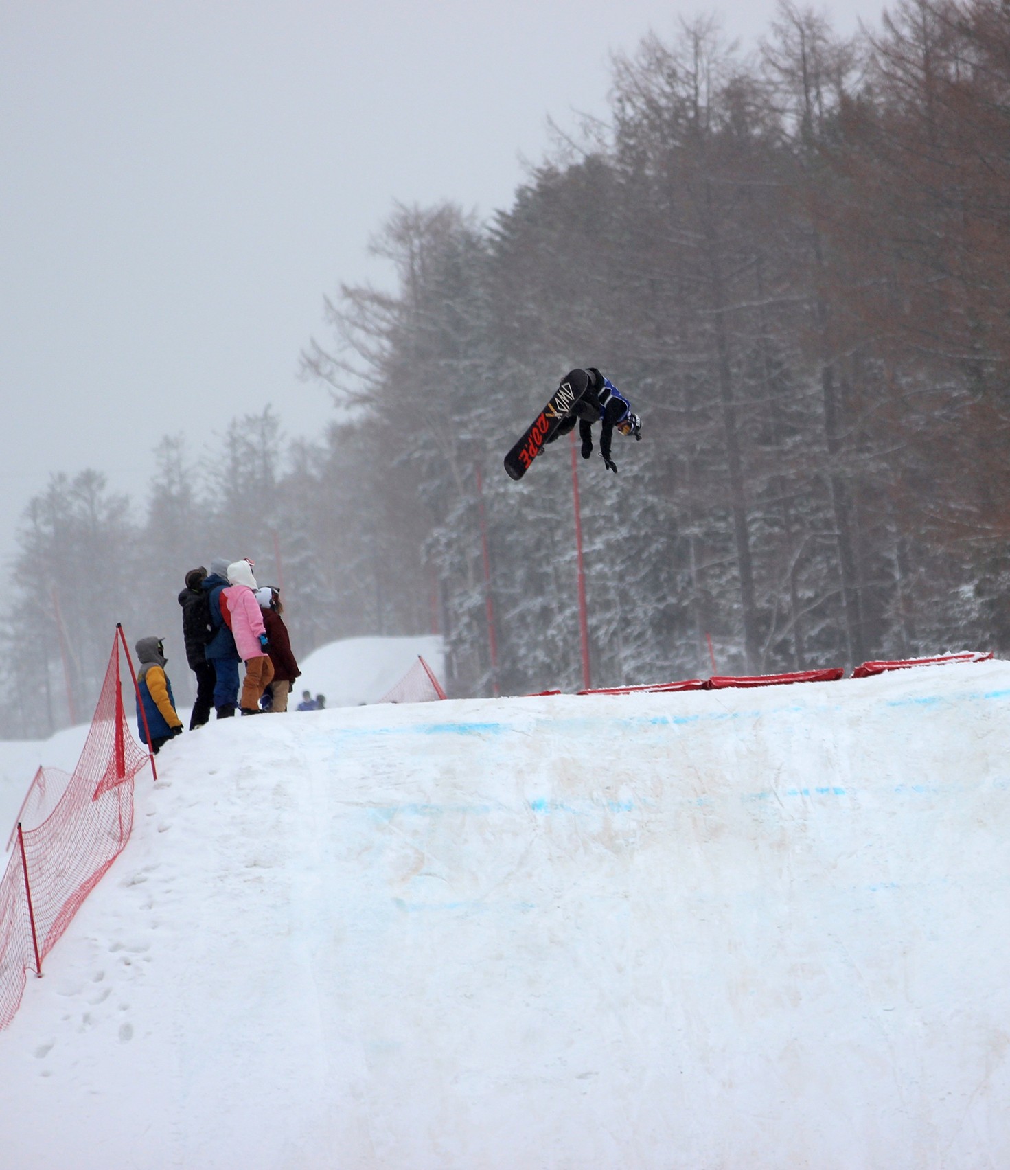 Этап Кубка России по сноуборду (слоупстайл)