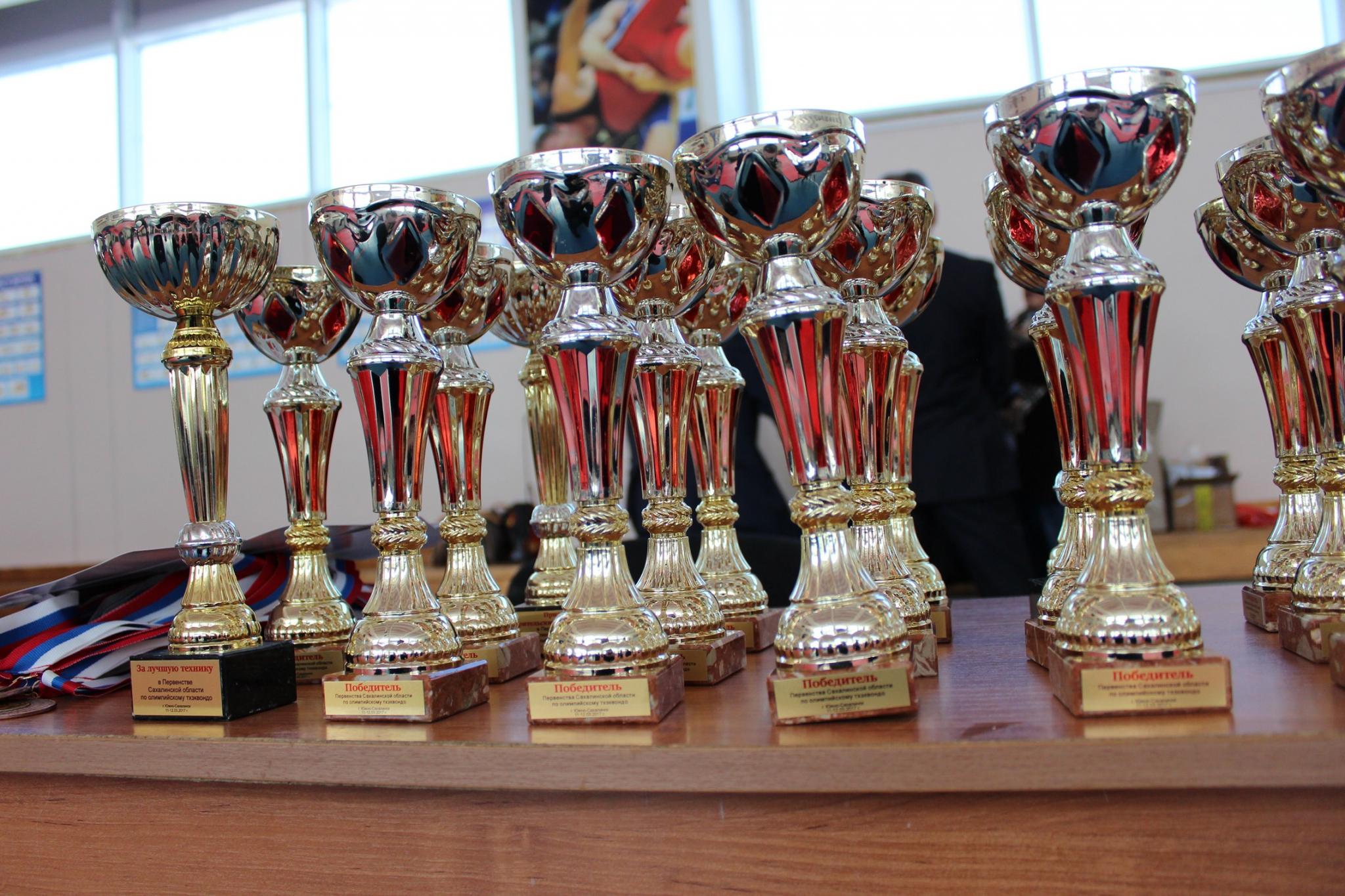 Первенство области по тхэквондо