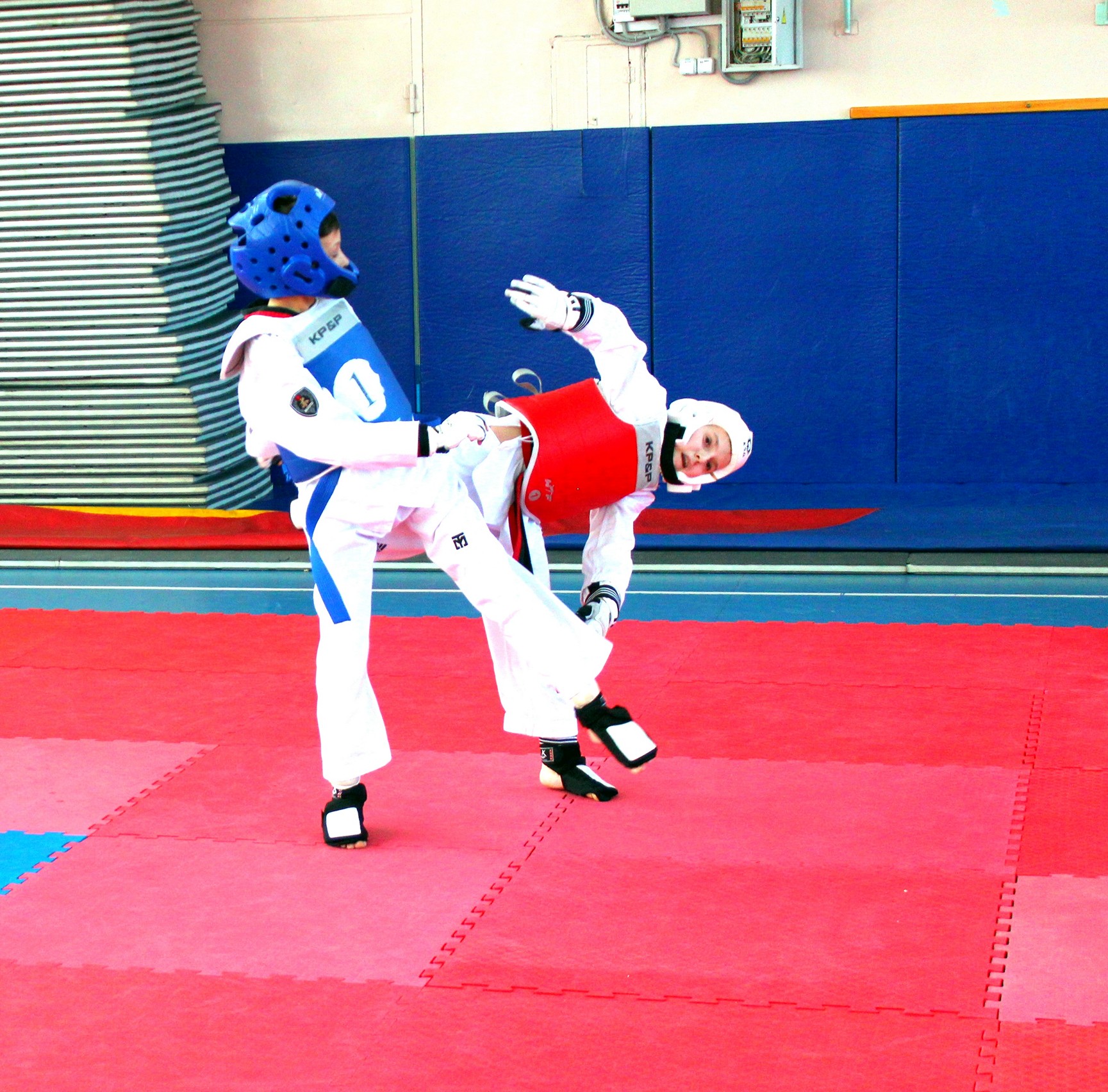 Первенство области по тхэквондо