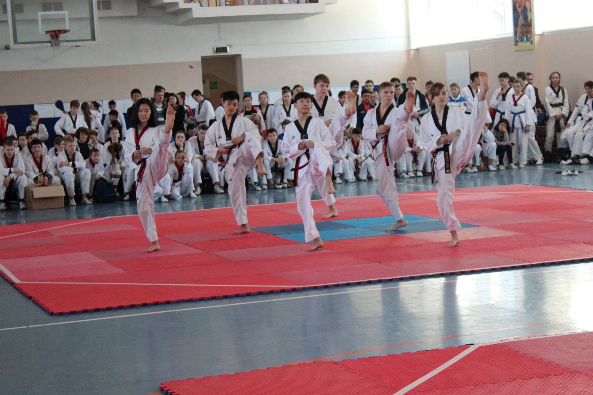 Чемпионат и первенство ДФО по тхэквондо