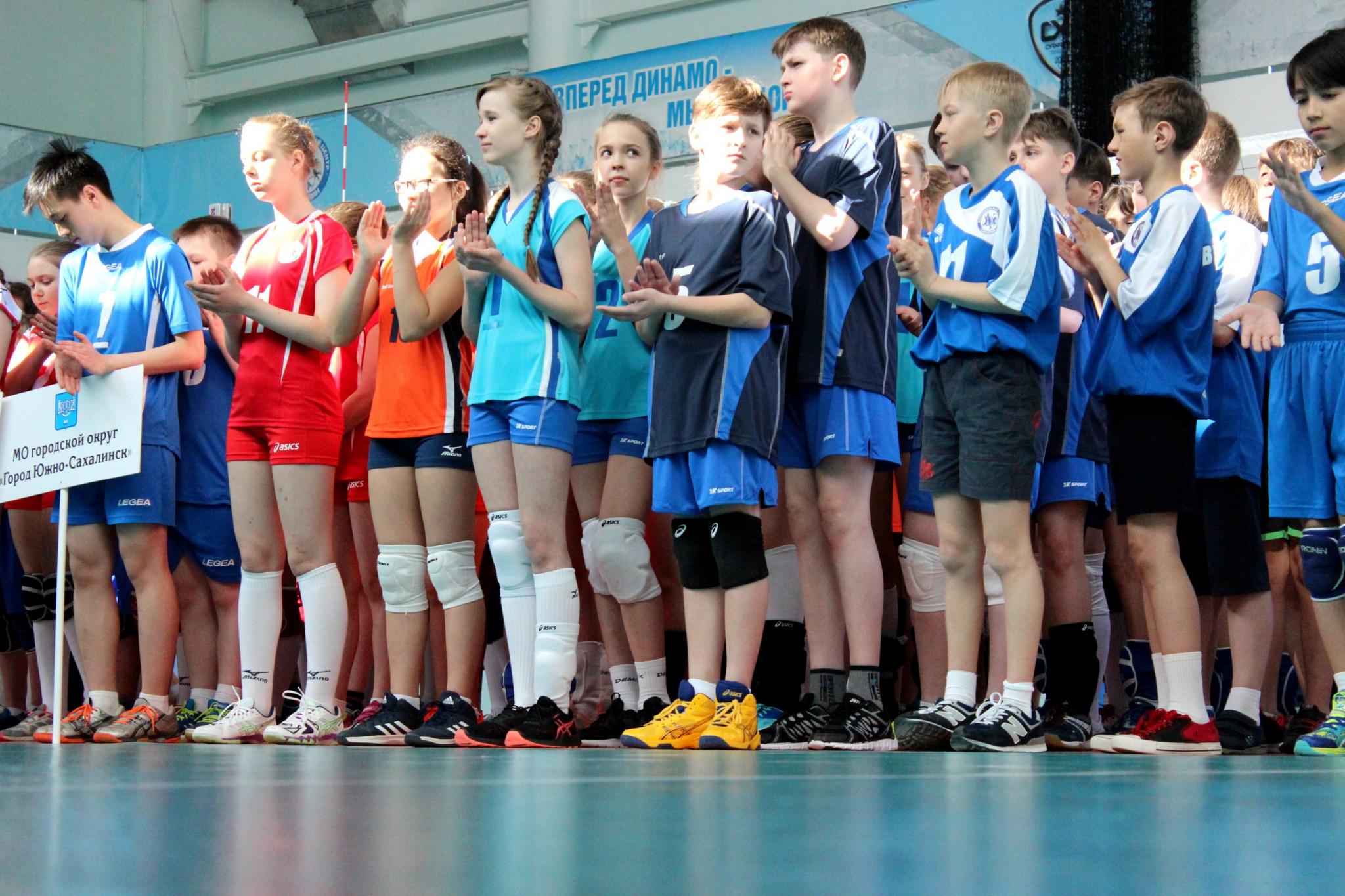 Первенство области по волейболу среди юношей и девушек 2005 - 2006 г.р.