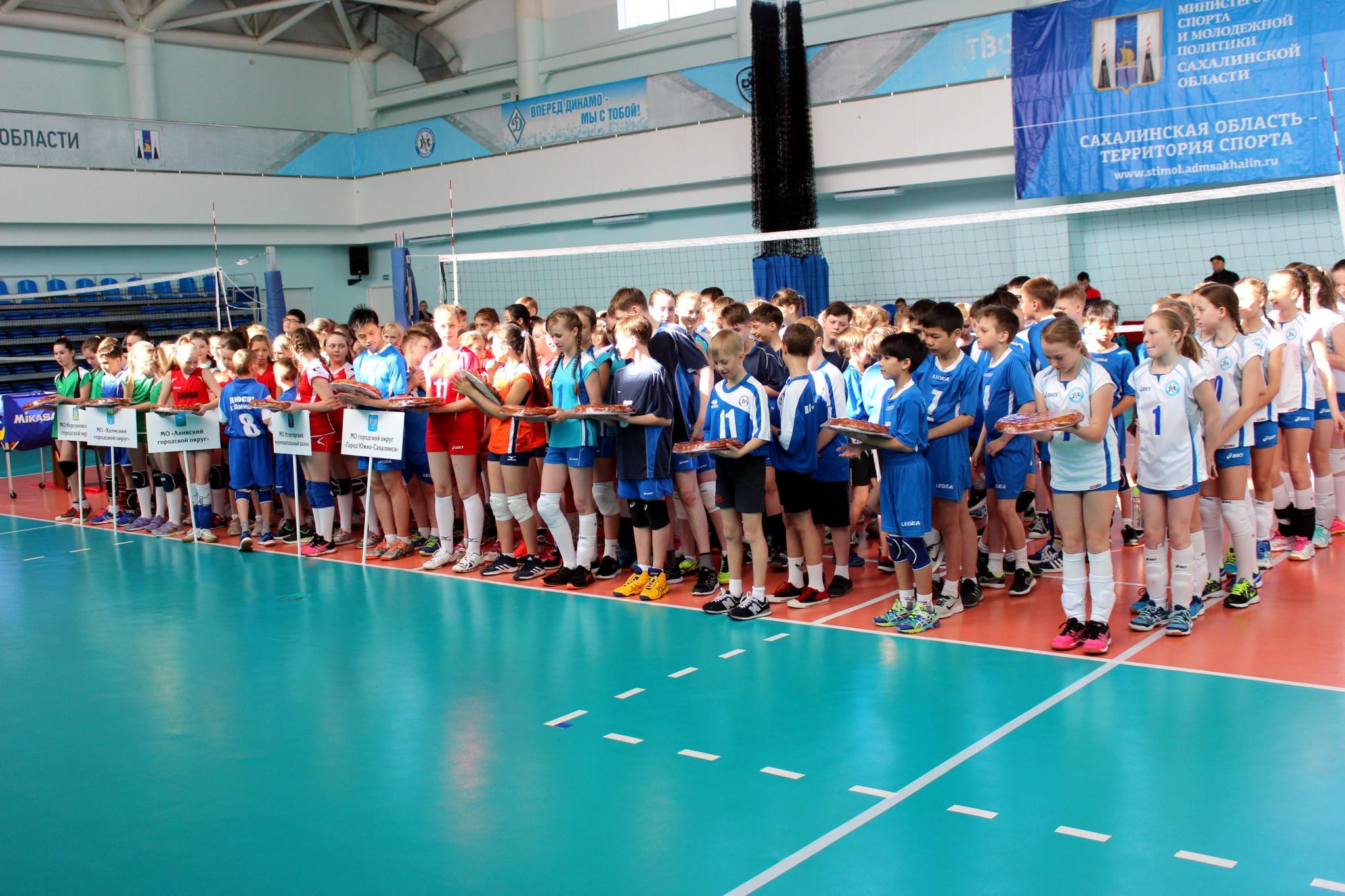 Первенство области по волейболу среди юношей и девушек 2005 - 2006 г.р.