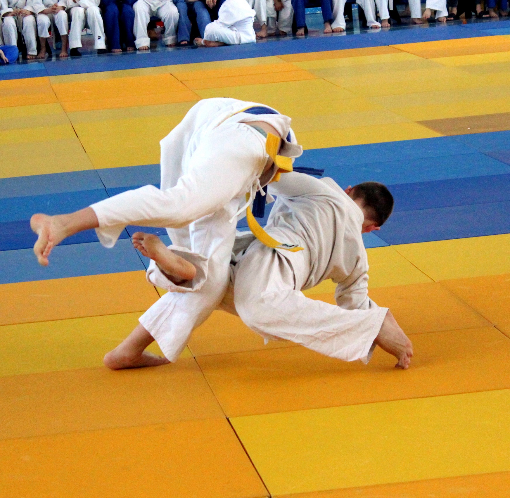 Кубок губернатора по дзюдо