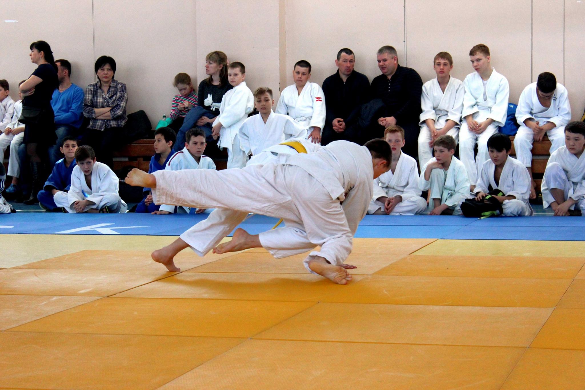 Кубок губернатора по дзюдо