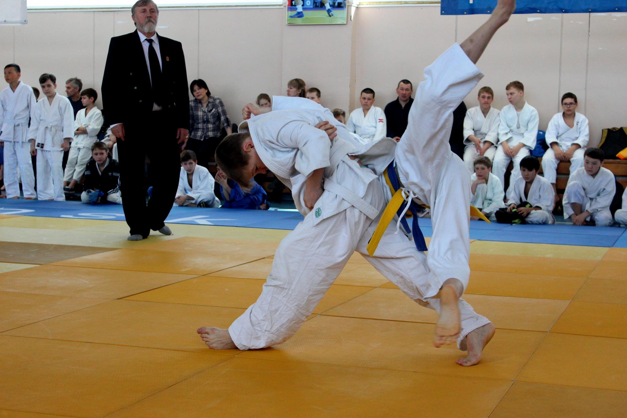 Кубок губернатора по дзюдо