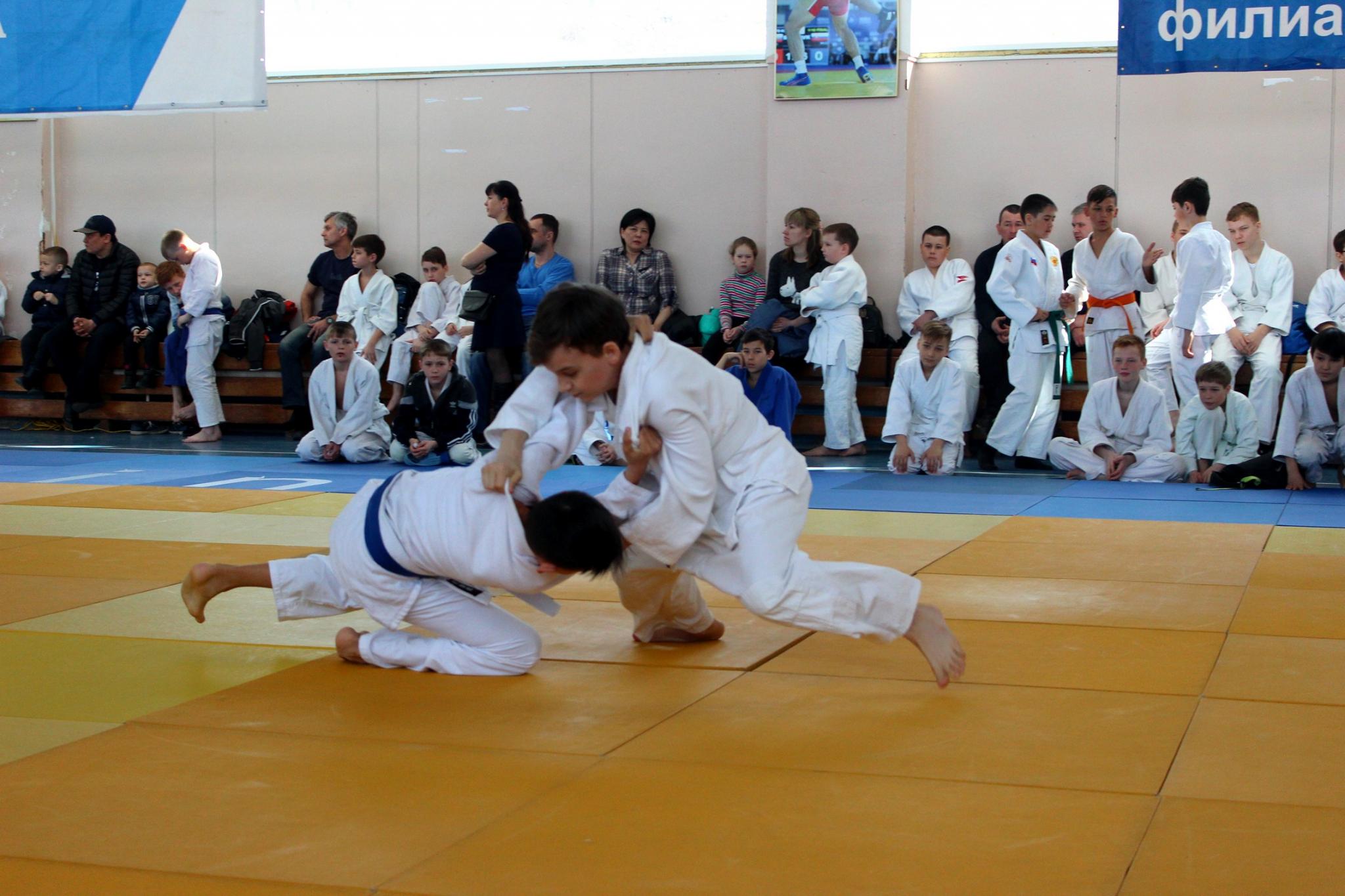 Кубок губернатора по дзюдо