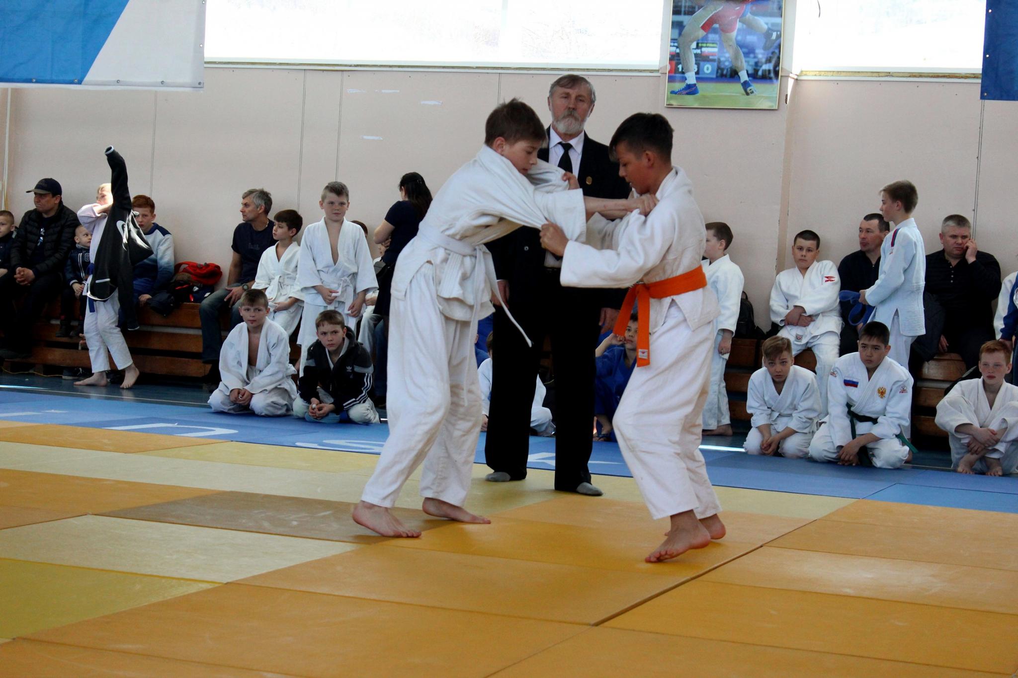 Кубок губернатора по дзюдо