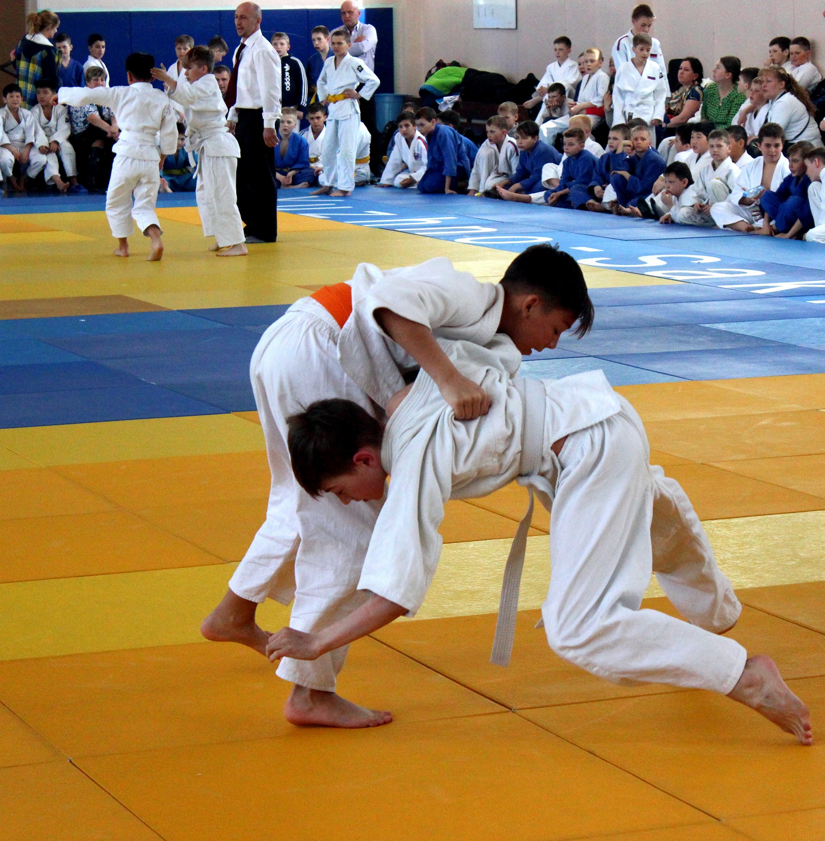 Кубок губернатора по дзюдо