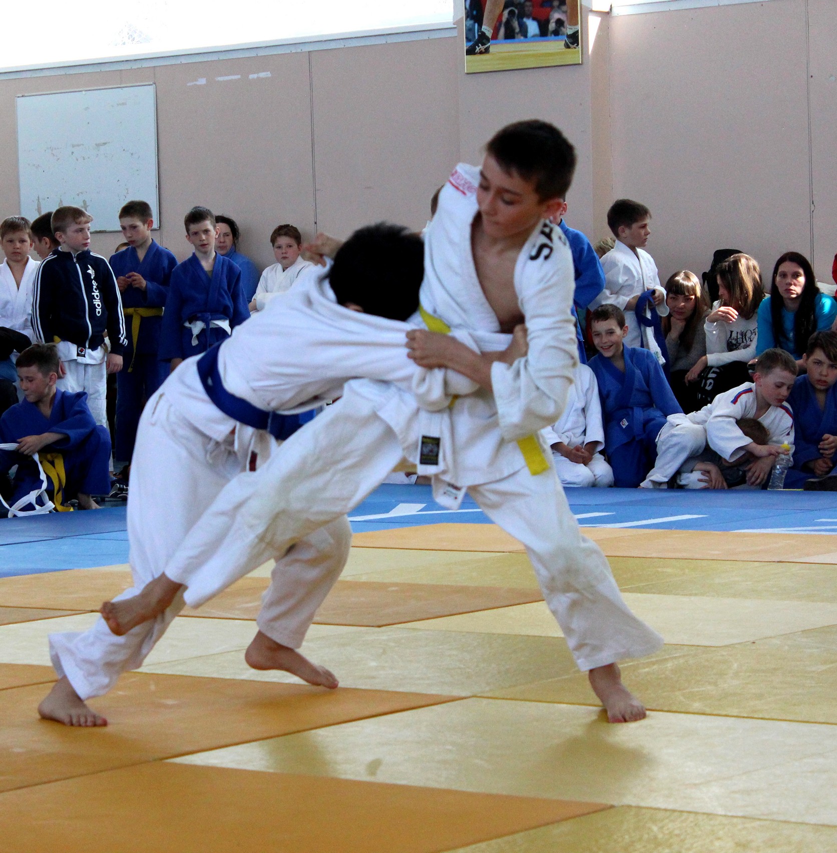 Кубок губернатора по дзюдо