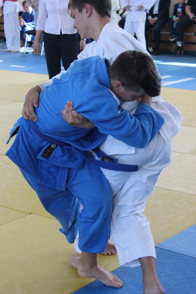 Первенство области по дзюдо