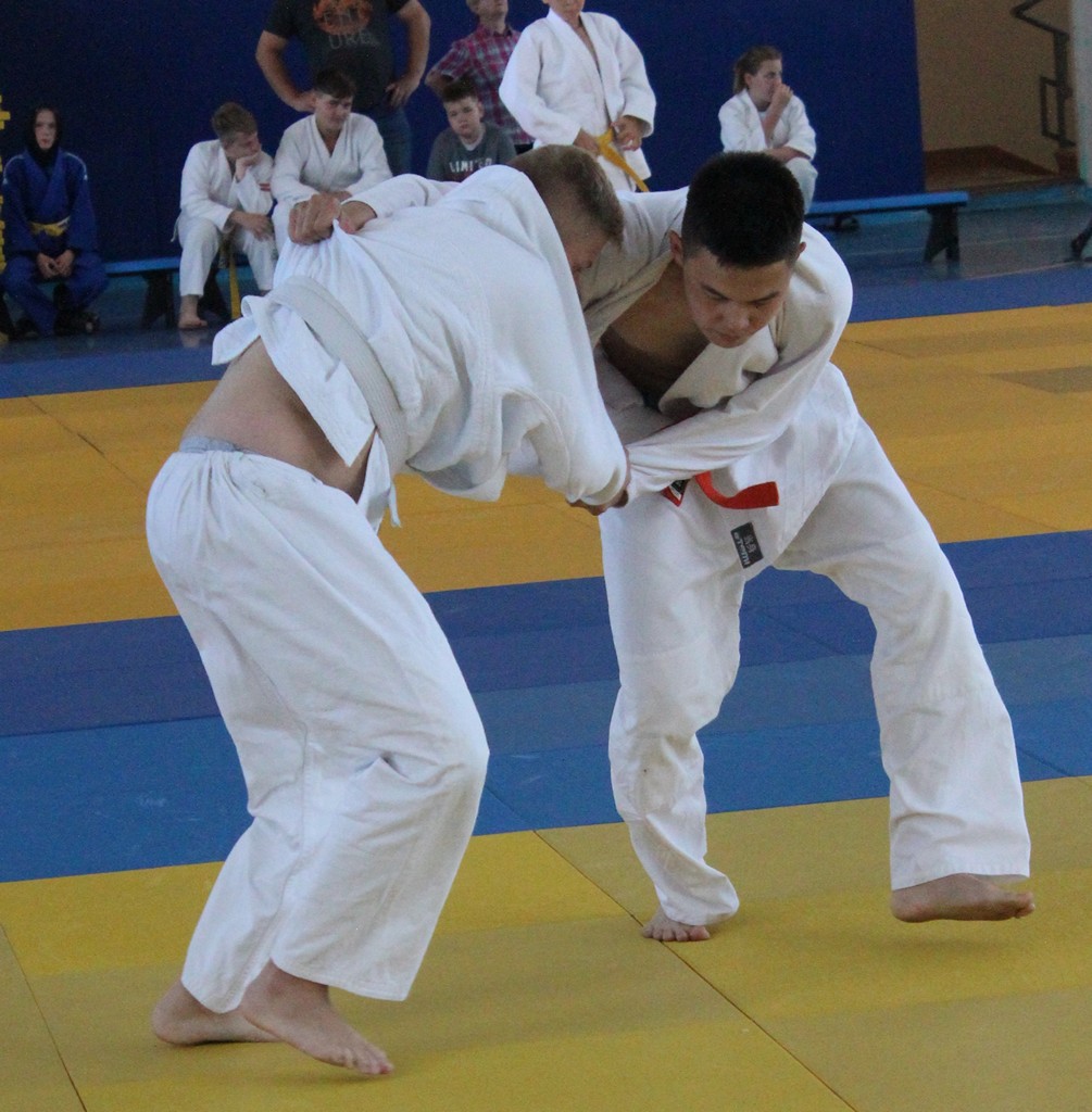 Первенство области по дзюдо