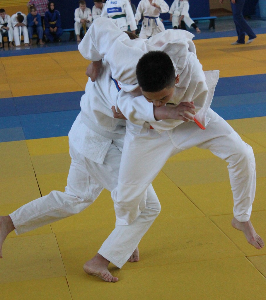 Первенство области по дзюдо