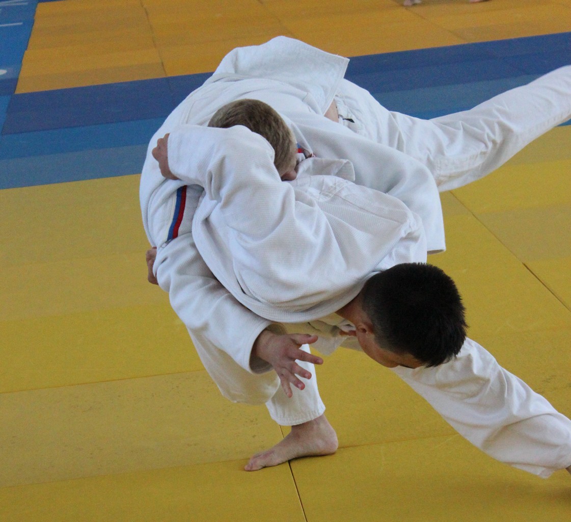 Первенство области по дзюдо